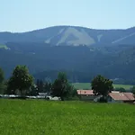 Hotel Hotel-gasthof Zum Oberen Wirt 3*
