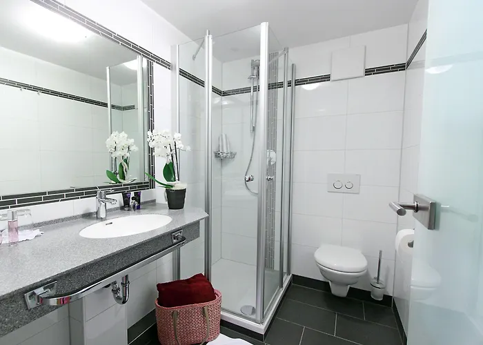 Hotel-gasthof Zum Oberen Wirt Hotel Regen