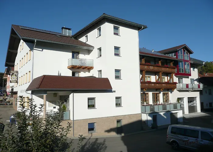 Hotel-gasthof Zum Oberen Wirt 3* Regen