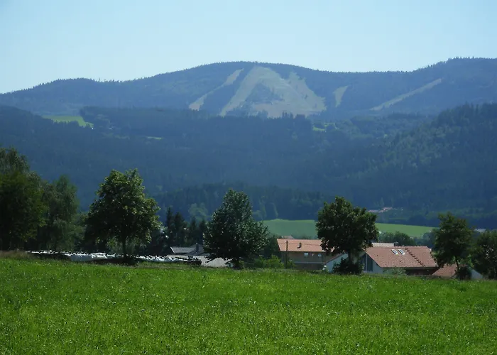 Hotel Hotel-gasthof Zum Oberen Wirt 3*