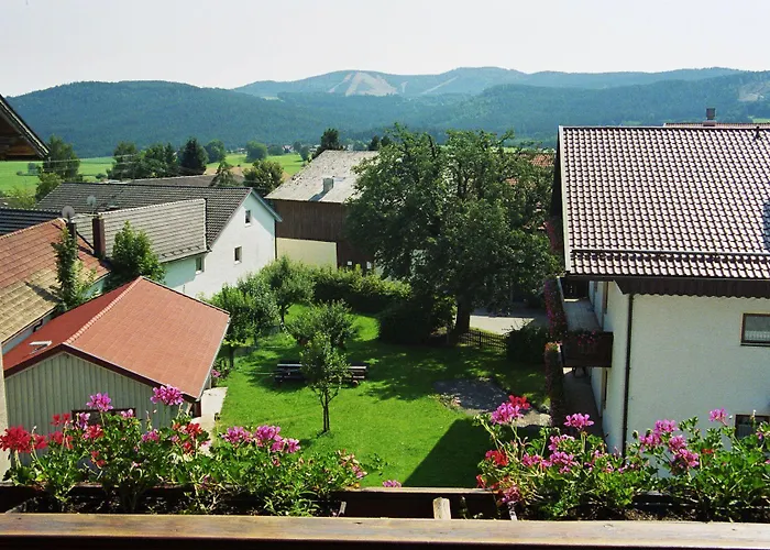 Hotel Hotel-gasthof Zum Oberen Wirt Regen