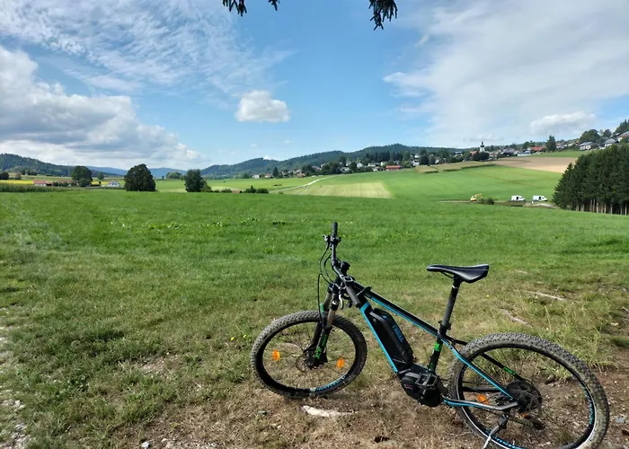 Hotel Hotel-gasthof Zum Oberen Wirt Regen