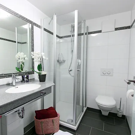 Hotel-gasthof Zum Oberen Wirt Hotel Regen