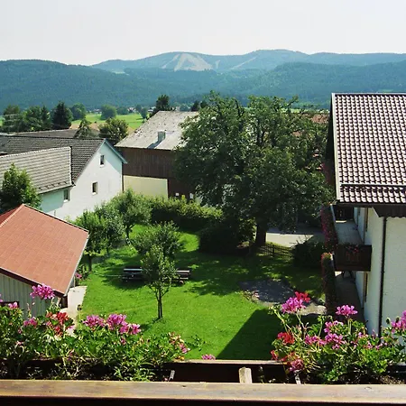 Hotel Hotel-gasthof Zum Oberen Wirt Regen