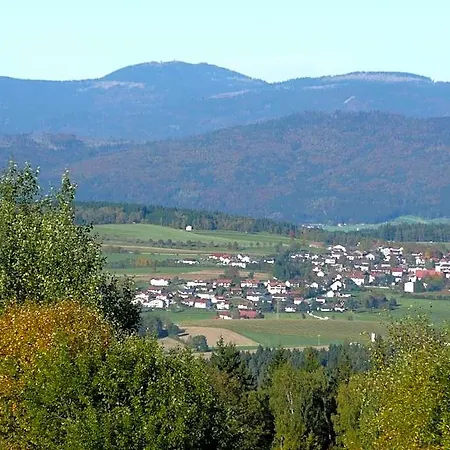 Hotel-gasthof Zum Oberen Wirt 3*